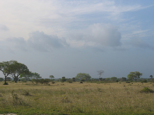 Saadani National Park